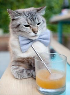 KAIYUNAPP-“中超开幕式盛大举行，球迷期待满满”，中超 开幕式