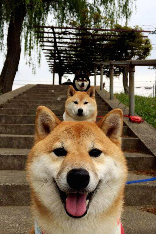 开云官网在线-《《绝地求生》多项优化，体验更加丝滑流畅》，绝地求生优化2020