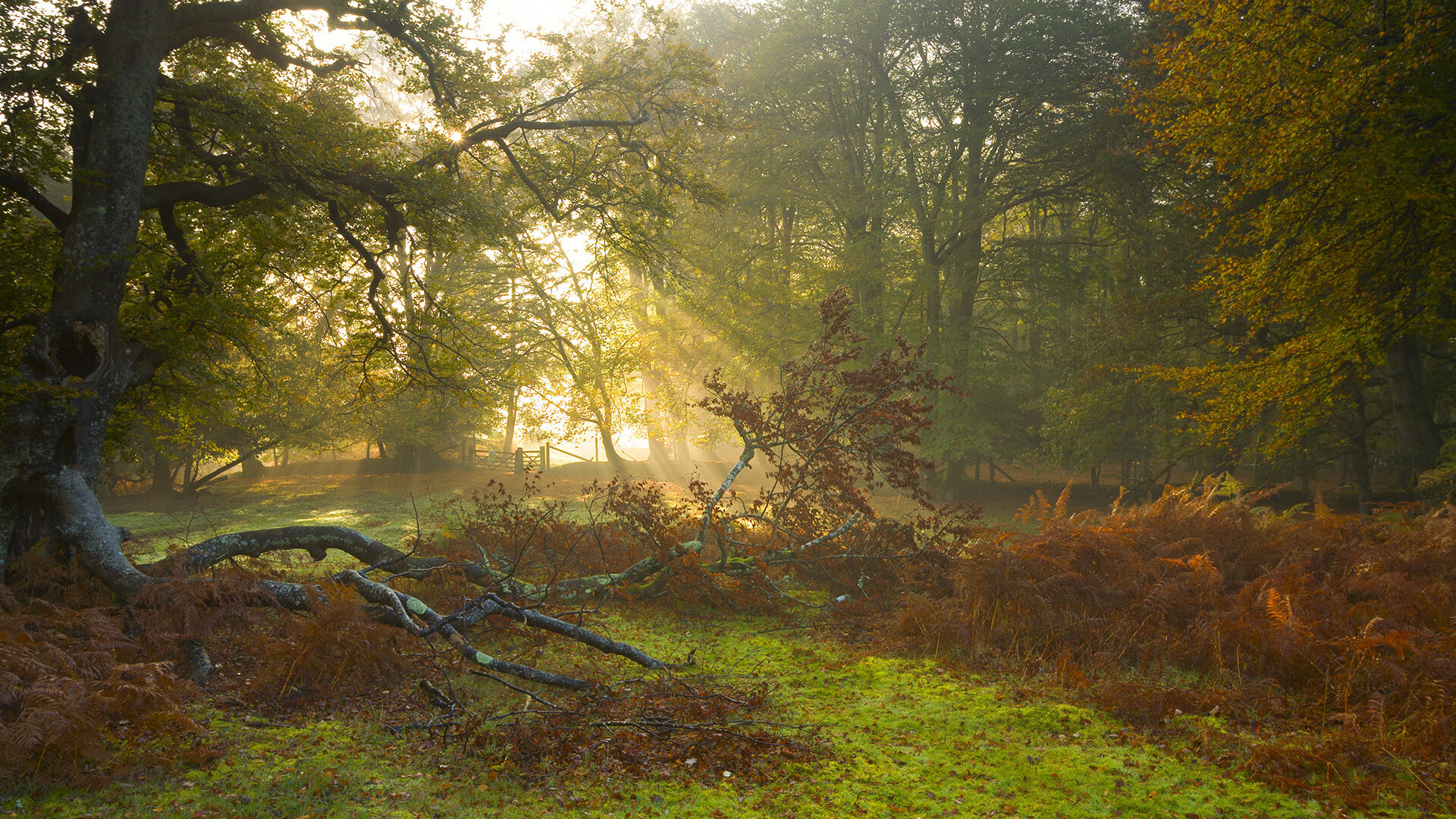 kaiyun 开云体育-【女子棒球】女选手们在赛场上的突破，女棒球员