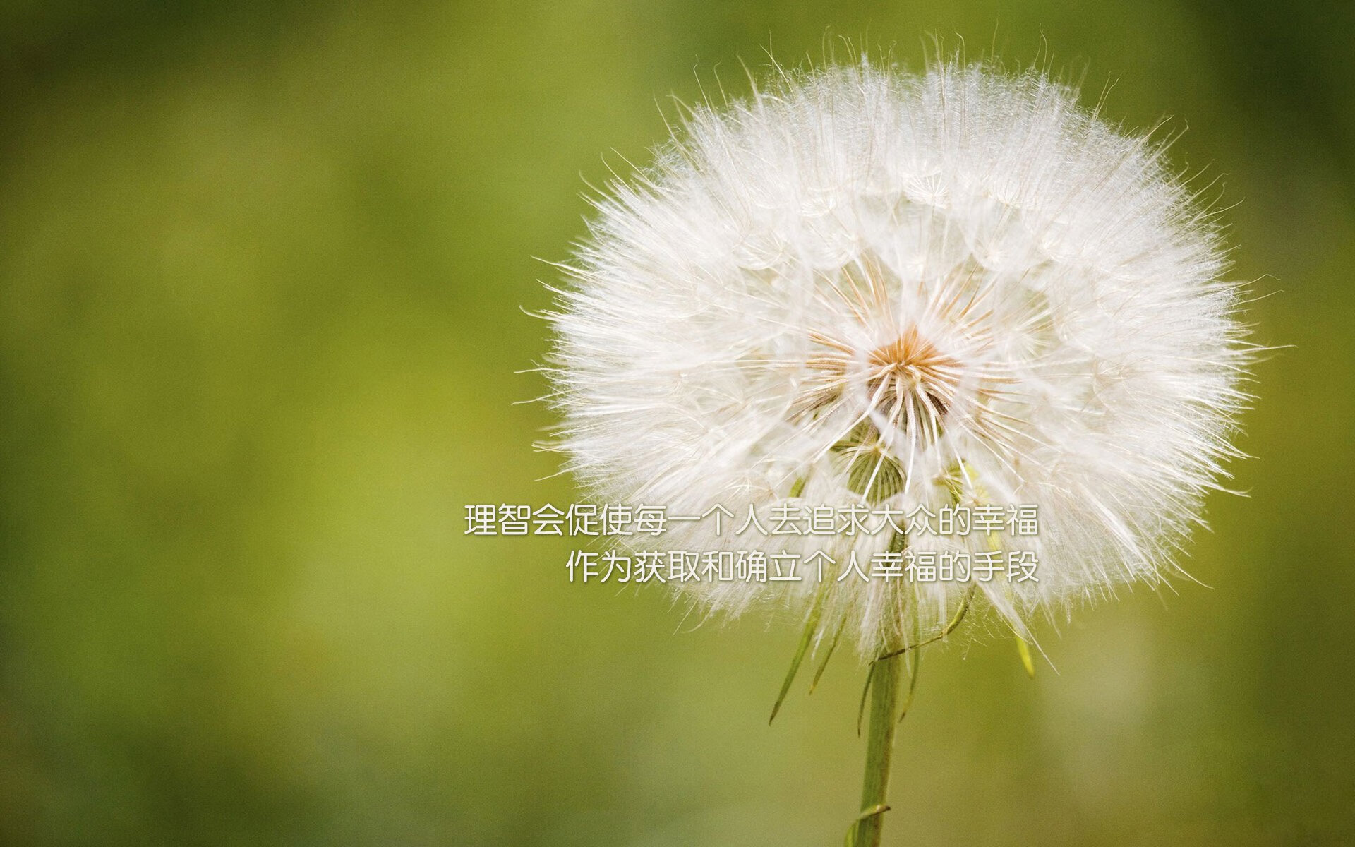 开云体育中国官网-世界马拉松大满贯赛事中国跑者表现出色，世界马拉松大满贯官网