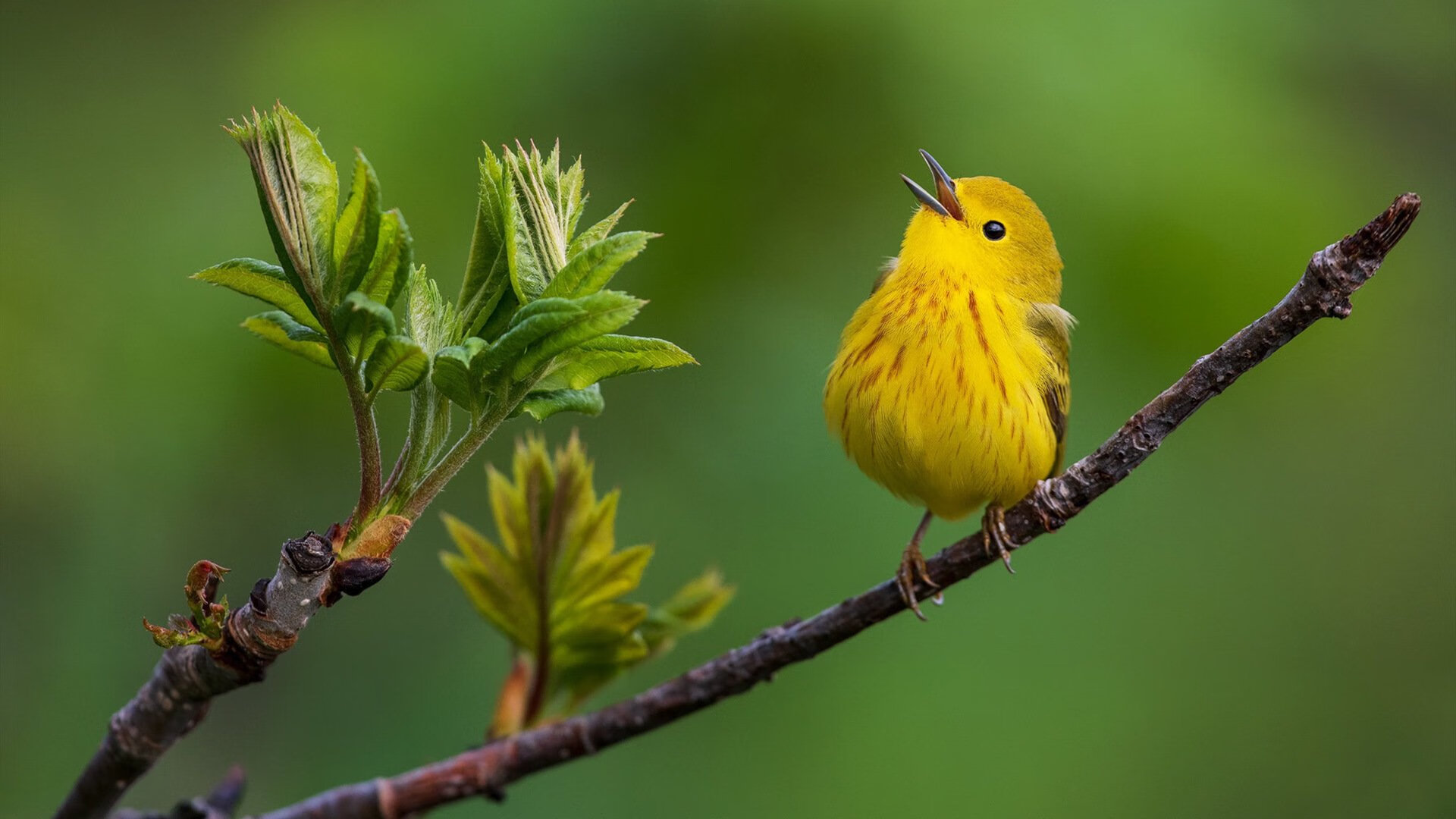 开云官网首页-关键战役：决定年度冠军的关键比赛，关键之战