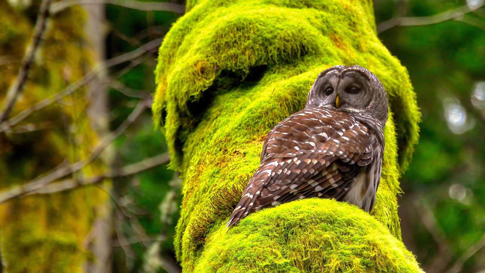 kaiyun体育app-特色乡村足球园地，乡土运动新风潮，乡村足球队