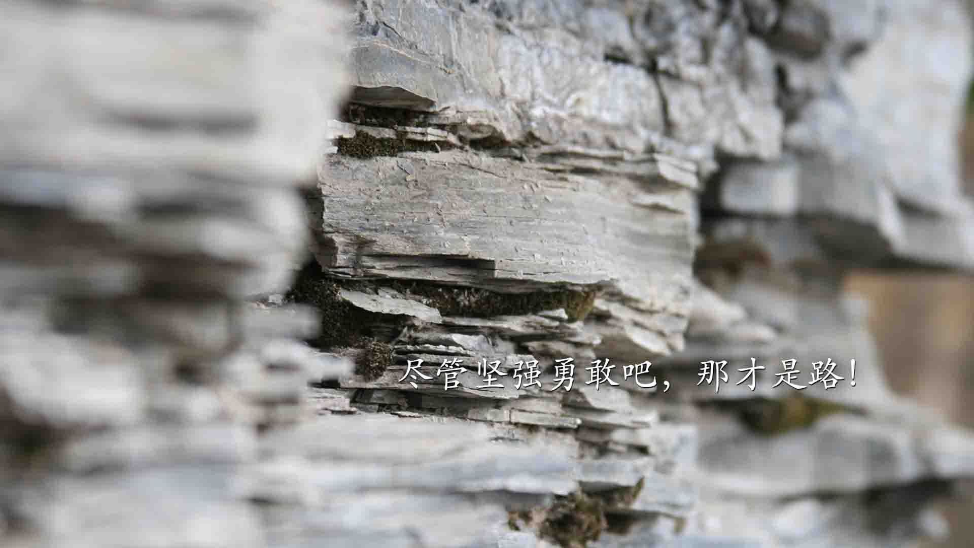 开云APP-球迷收藏版：欧洲足球“永恒经典”全纪录，欧洲足球记录者