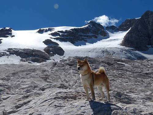 开云平台-伊朗男足在巴黎奥运会比赛中以2-0战胜新西兰，伊朗男足主场