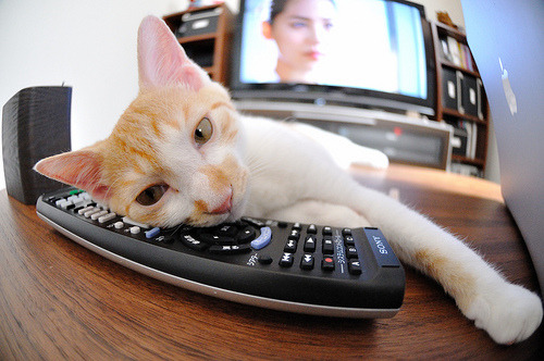 朗斯主场试图破门却不利踢皮,球队进攻乏力,朗斯集团