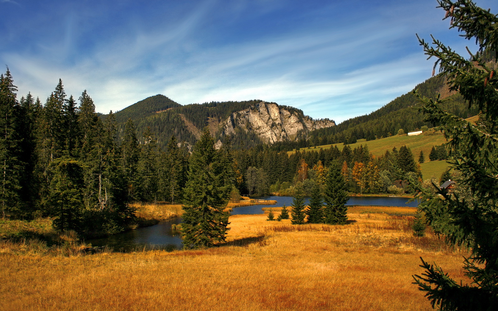 开云官网登录-后场双核配合默契度排行榜，后场核心