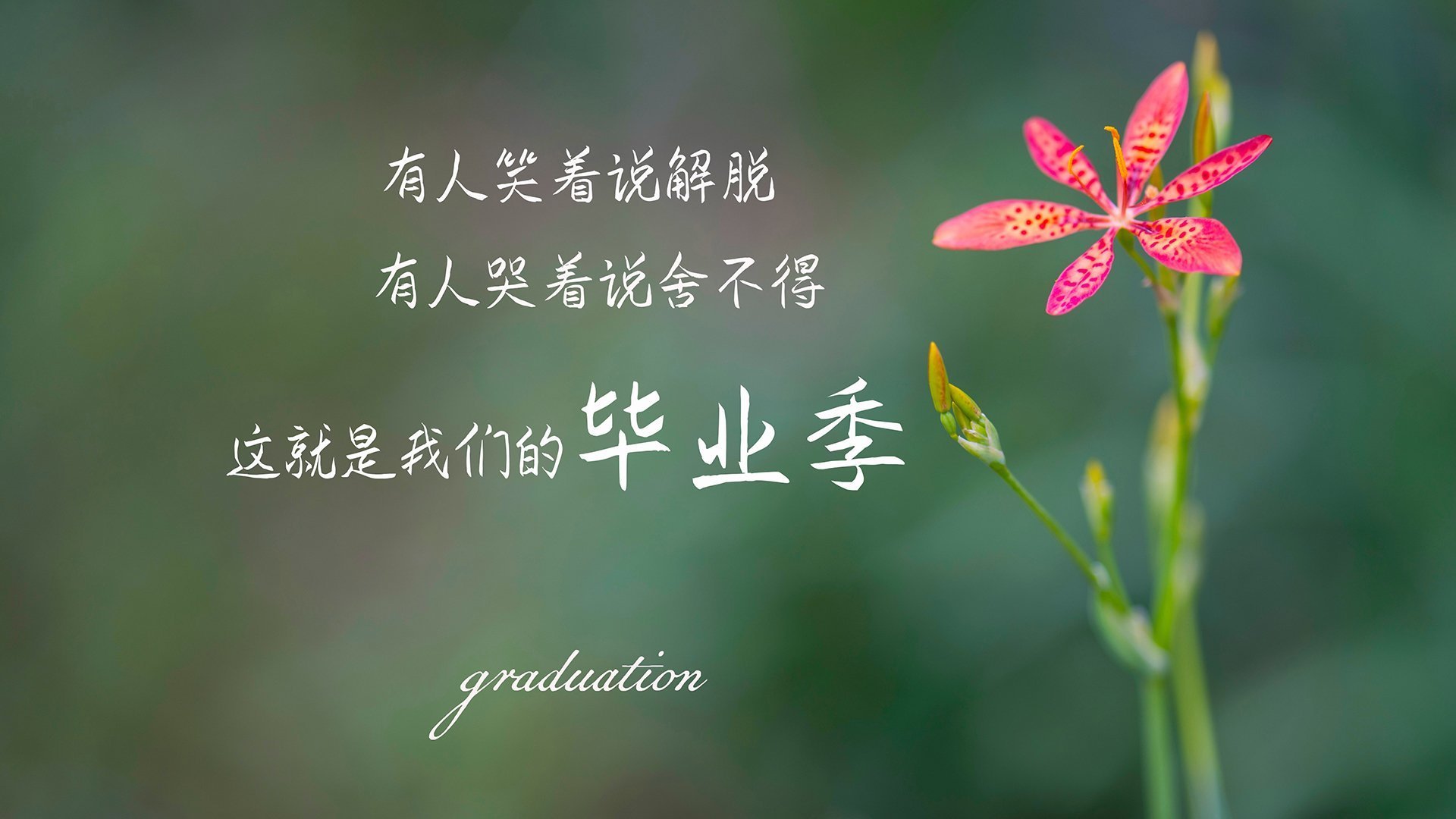 kaiyun体育app-波兰队在国际乒联混合团体世界杯中的表现与赛制适应，波兰乒乓球超级联赛