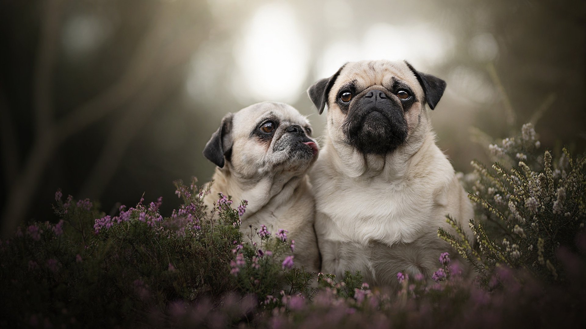 kaiyun中国官方网站-乔治称必须打出强硬风格提升内线表现，乔治yong