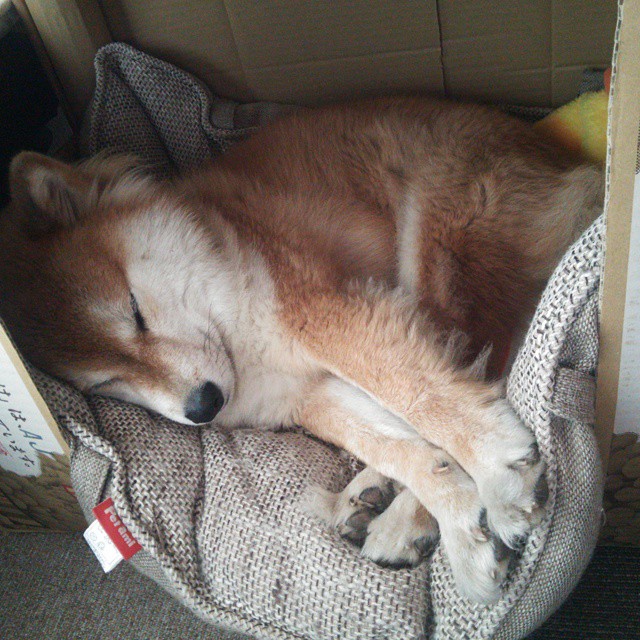 kaiyun-帕金斯50米蝶泳赛场表现引外媒关注，帕金斯十佳球